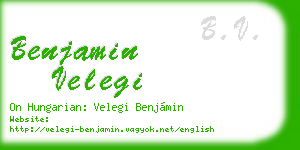 benjamin velegi business card